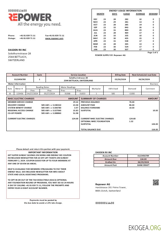 Modèle de facture de services publics de Suisse Repower AG, entièrement modifiable aux formats Word et PDF